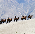 camel safari nubra, nubra valley trek, leh ladakh tour